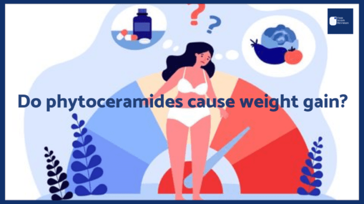 Do phytoceramides cause weight gain 