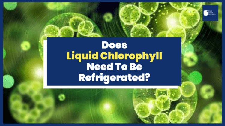Does Liquid Chlorophyll Need To Be Refrigerated