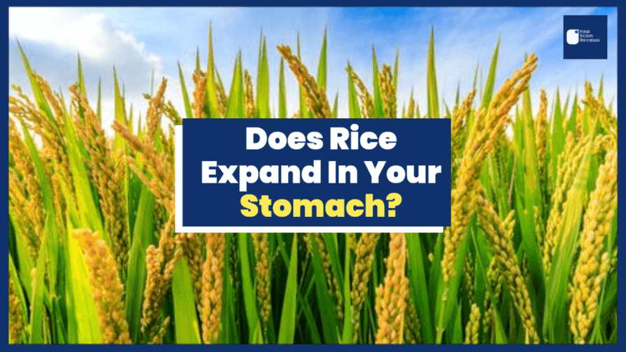 Does Rice Expand In Your Stomach