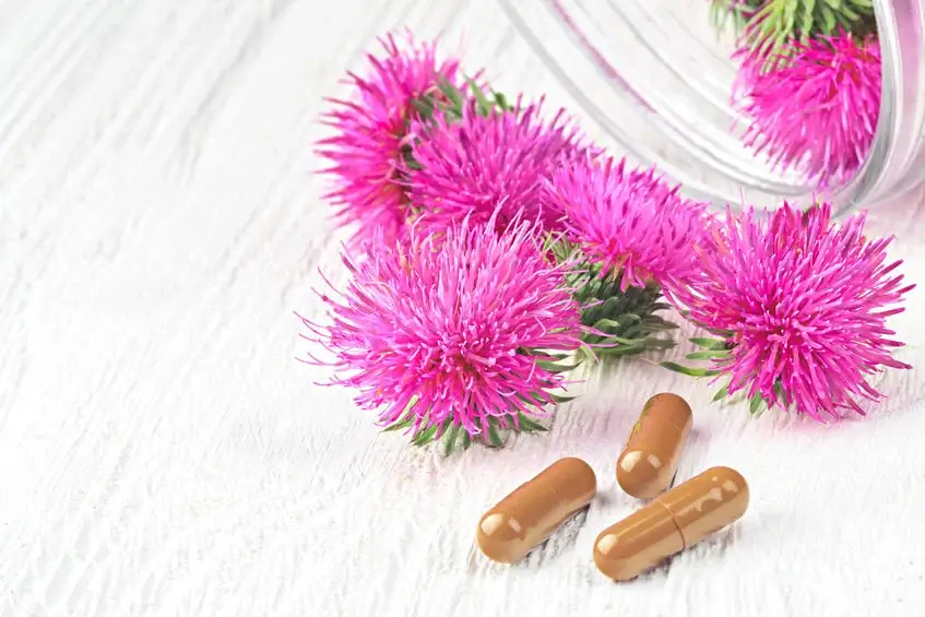 milk thistle side effects